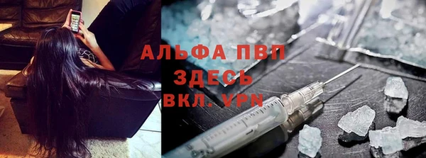 СК Белокуриха