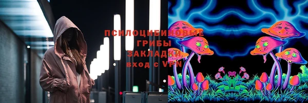 ГАЛЛЮЦИНОГЕННЫЕ ГРИБЫ Беломорск