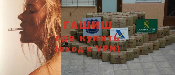 гидра Снежногорск