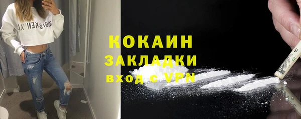 гидра Снежногорск